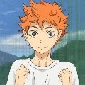 shoyo