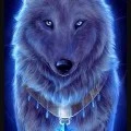 Alpha (Prince of the imortal world)