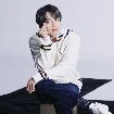 Jungkook Brown