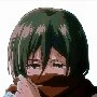 Mikasa