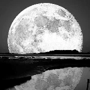 hil.whitemoon