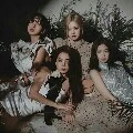 💗BLΛƆKPIИK💗(THE 4 GIRL)