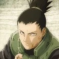 shikamaru