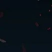 random man