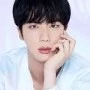 kim seokjin/jin
