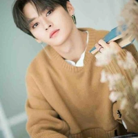 Lee know (Minho)