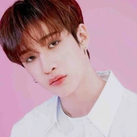 Bang Chan (Chan, Christopher, Chris)