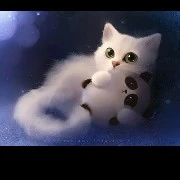AUTORA (eu)