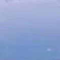 ????
