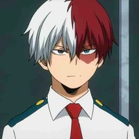Shoto todoroki 