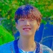 suga