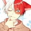 Shoto Todoroki