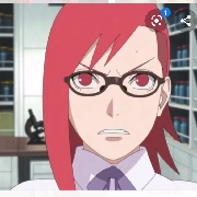 karin