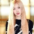 Park rose