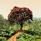 พนักงาน