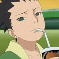 SHIKADAI