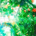 Multitudes