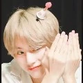 tae/v
