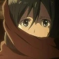 mikasa