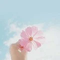 แอด