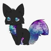 System / Max space cat form