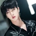 jin (lobo)