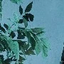 some one