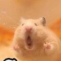 !!!แอด!!!