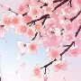 some one
