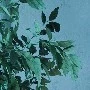 some one