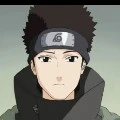 Shino