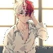 Shoto (Y/N twin)