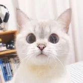 ครูทุกวิชา