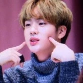 Seokjin (Jinnie)