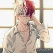 todoroki