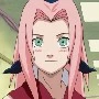Sakura ( 10 / 13 )