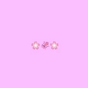 แอด🌸🦑🌸