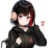 Y/N