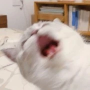 แอดคุง
