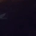 siapa ????