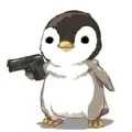 rekan nya si author