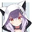 𝐘/𝐍