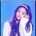 lee jennie