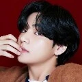 kim taehyung/v