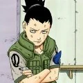 sikamaru
