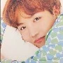Hobie