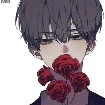 คาชิ(องค์ชายแดนพืช)