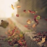 wind