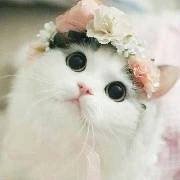 แอดเอง