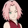 sakura